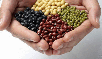 八大補腦營養食品排行 圖