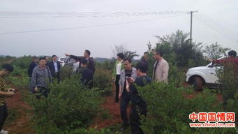 垂頭自惜千金骨,伏櫪仍存萬里心