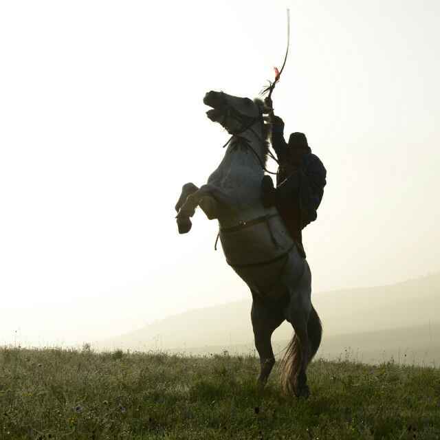 學海無涯，伏櫪前行