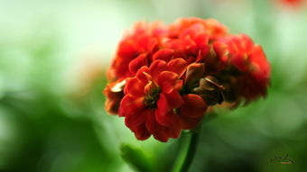 老驥伏櫪志在千里——尼康D300s夜景試拍感悟